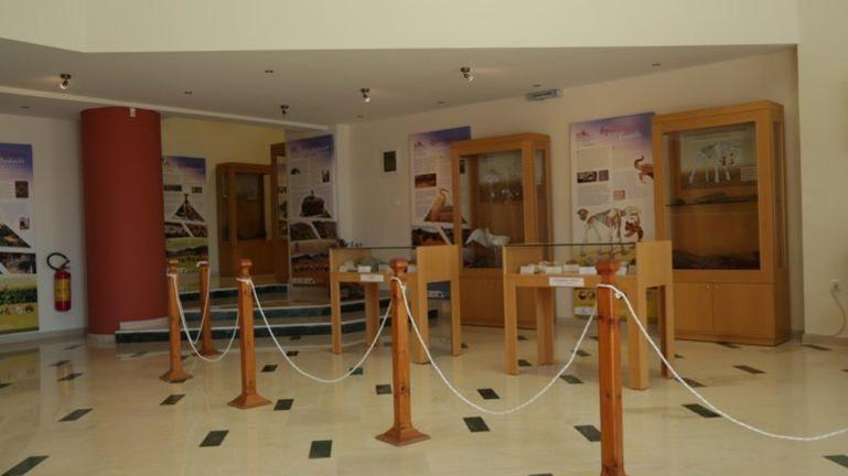 Tania Village Zakros Maisonette المظهر الخارجي الصورة